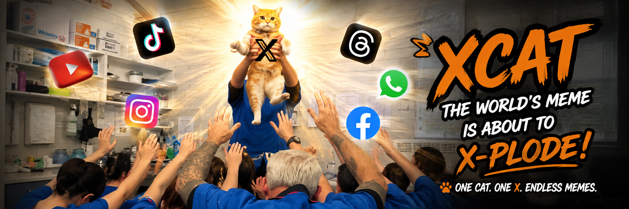 XCAT banner — the orange cat held high as the world's meme is about to X-plode
